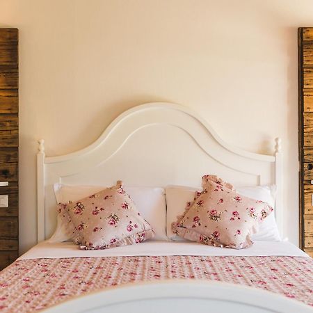 B&B Podere Curtatone Grosseto Dış mekan fotoğraf