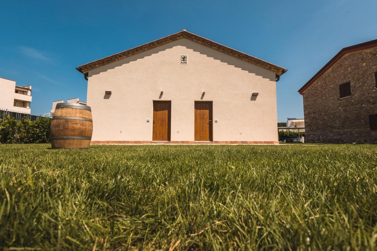 B&B Podere Curtatone Grosseto Dış mekan fotoğraf